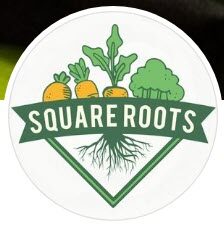 Square Roots site logo